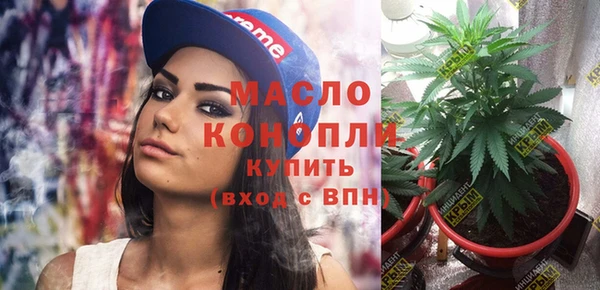 тгк Вяземский