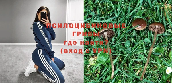 альфа пвп Кукмор