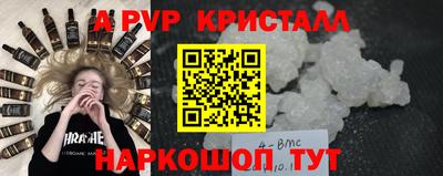 шишки Аргун