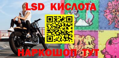 крисы Кимры