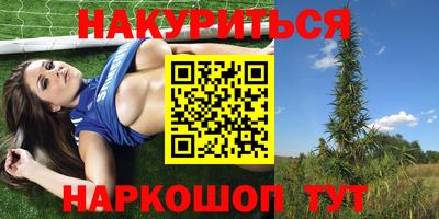 крисы Кимры