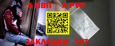 шишки Аргун